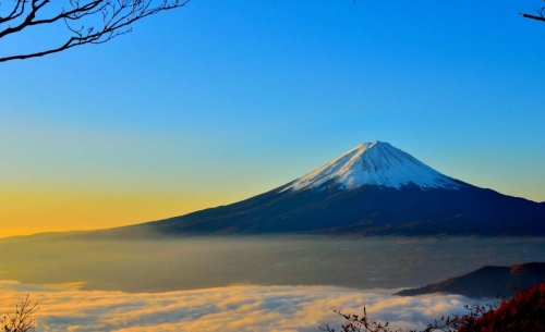 aaa